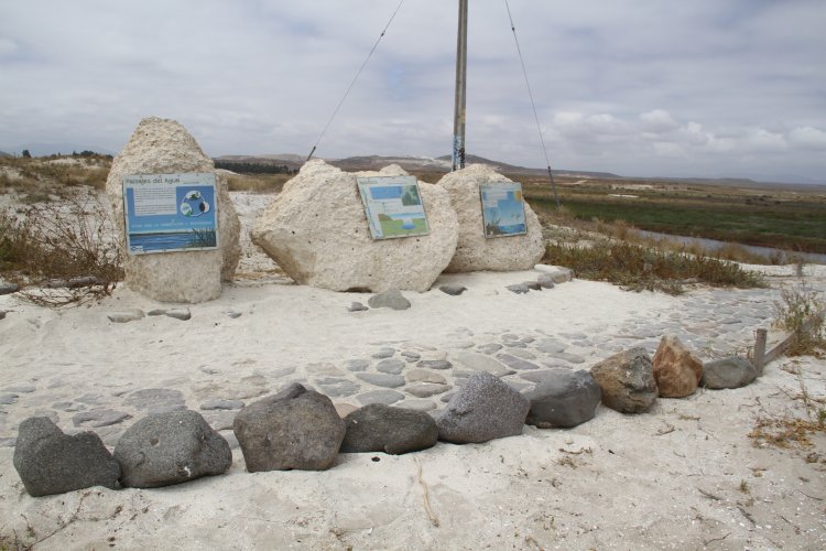 GOBIERNO ESTABLECE ACUERDO PARA PROTEGER HUMEDALES DE TONGOY