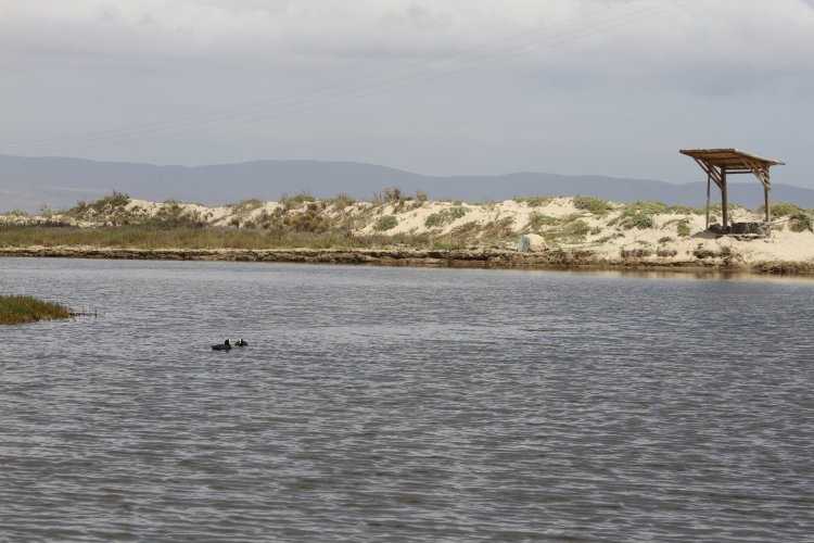 GOBIERNO ESTABLECE ACUERDO PARA PROTEGER HUMEDALES DE TONGOY