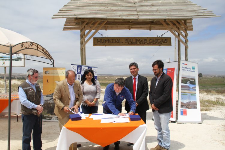 GOBIERNO ESTABLECE ACUERDO PARA PROTEGER HUMEDALES DE TONGOY