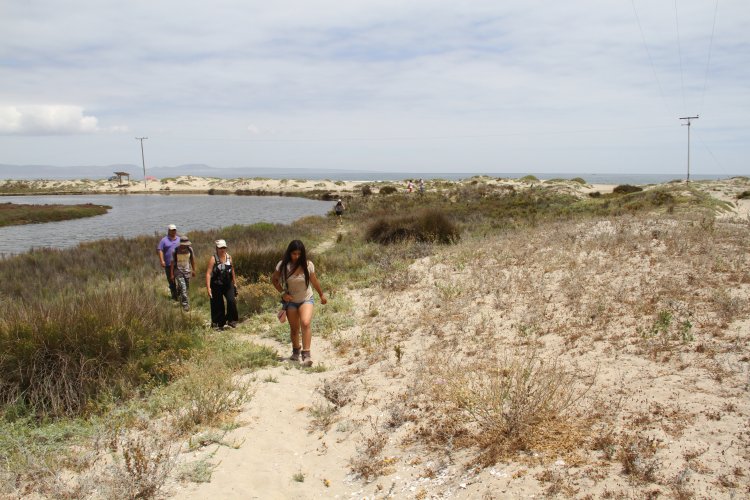 GOBIERNO ESTABLECE ACUERDO PARA PROTEGER HUMEDALES DE TONGOY