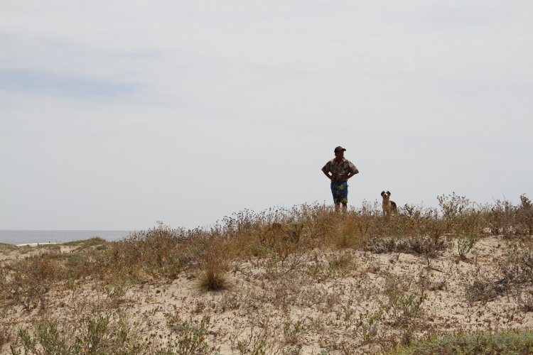GOBIERNO ESTABLECE ACUERDO PARA PROTEGER HUMEDALES DE TONGOY