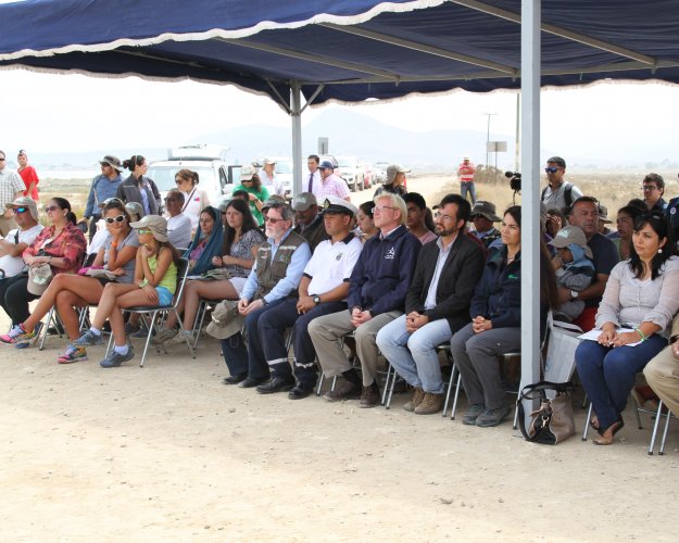 GOBIERNO ESTABLECE ACUERDO PARA PROTEGER HUMEDALES DE TONGOY