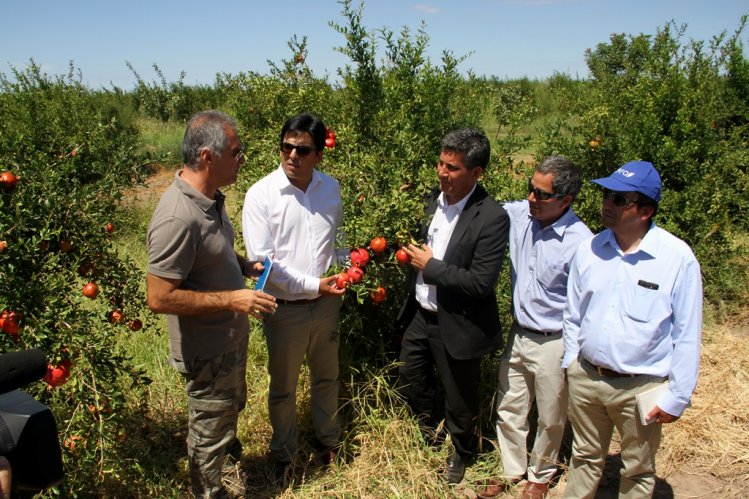 CONDICIONES ECONÓMICAS DE CHILE ABREN EXPECTATIVAS PARA EMPRESARIOS DE SAN JUAN