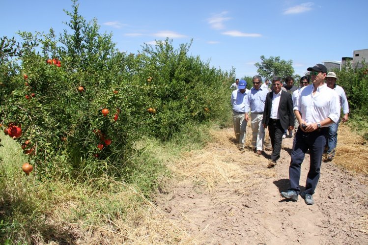 GALERÍA FOTOGRÁFICA: Visita Delegación de la Región de Coquimbo a San Juan Argentina