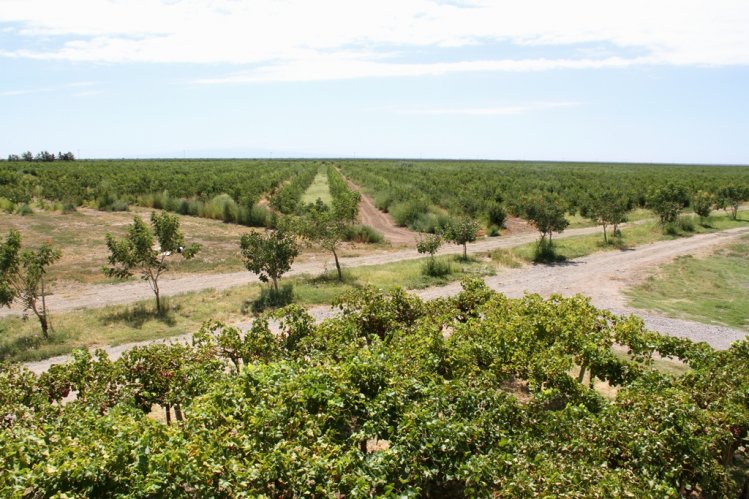 CONDICIONES ECONÓMICAS DE CHILE ABREN EXPECTATIVAS PARA EMPRESARIOS DE SAN JUAN
