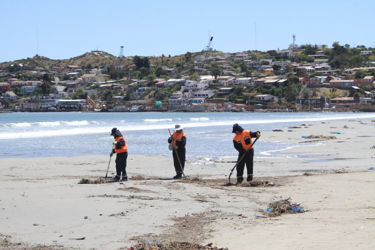 ESTADO DE AVANCE DE ENTREGA DE AYUDA A 6 MESES DEL TERREMOTO Y TSUNAMI