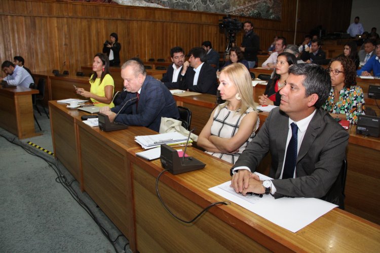 PROMUEVEN LAS OPORTUNIDADES COMERCIALES DEL MERCADO DEL PACÍFICO