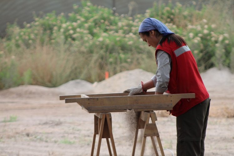 INTENDENTE IBÁÑEZ ANUNCIA CONFORMACIÓN DE MESA REGIONAL SOBRE HALLAZGO DE OSAMENTAS EN RUTA 5 NORTE