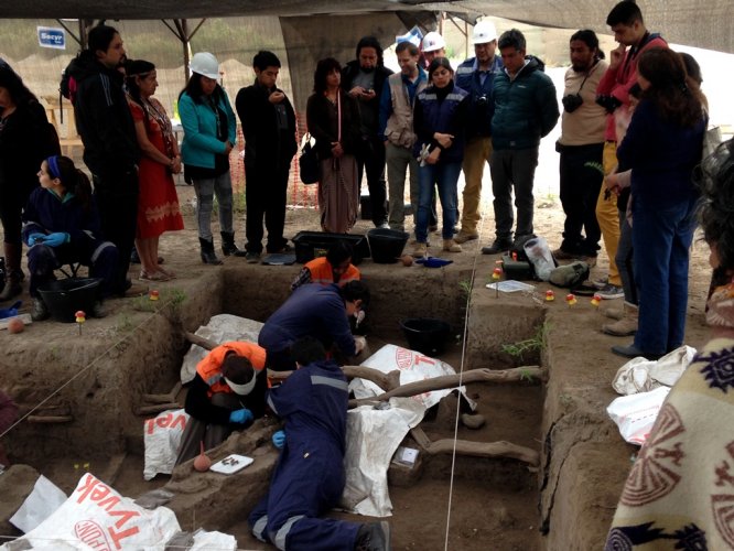 INTENDENTE IBÁÑEZ ANUNCIA CONFORMACIÓN DE MESA REGIONAL SOBRE HALLAZGO DE OSAMENTAS EN RUTA 5 NORTE