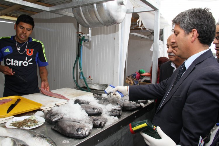 AUTORIDADES HACEN LLAMADO A ADQUIRIR PESCADOS Y MARISCOS SOLO EN COMERCIO ESTABLECIDO