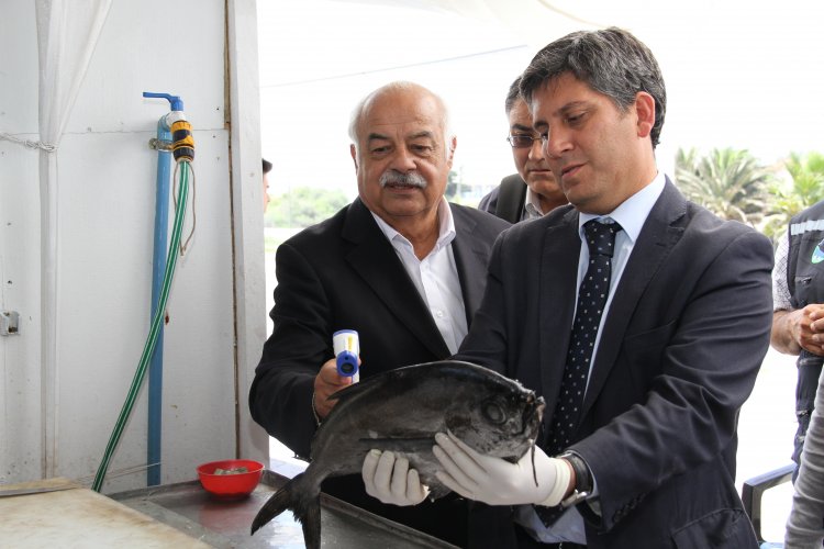 AUTORIDADES HACEN LLAMADO A ADQUIRIR PESCADOS Y MARISCOS SOLO EN COMERCIO ESTABLECIDO