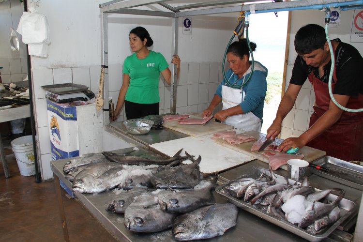 AUTORIDADES HACEN LLAMADO A ADQUIRIR PESCADOS Y MARISCOS SOLO EN COMERCIO ESTABLECIDO