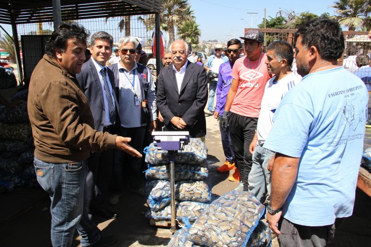 AUTORIDADES HACEN LLAMADO A ADQUIRIR PESCADOS Y MARISCOS SOLO EN COMERCIO ESTABLECIDO