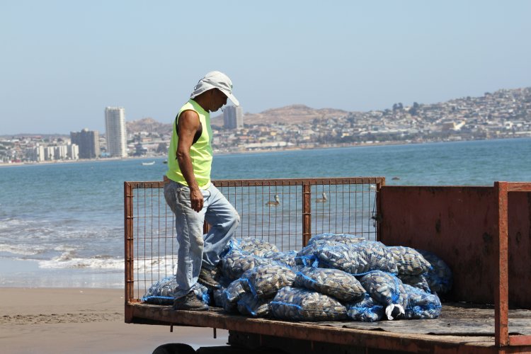 AUTORIDADES HACEN LLAMADO A ADQUIRIR PESCADOS Y MARISCOS SOLO EN COMERCIO ESTABLECIDO