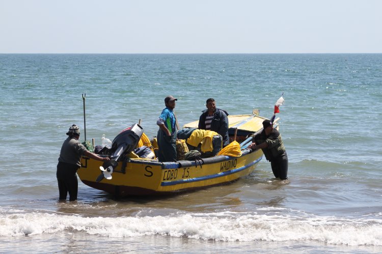 AUTORIDADES HACEN LLAMADO A ADQUIRIR PESCADOS Y MARISCOS SOLO EN COMERCIO ESTABLECIDO