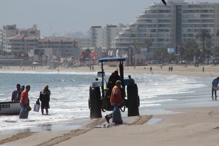 AUTORIDADES HACEN LLAMADO A ADQUIRIR PESCADOS Y MARISCOS SOLO EN COMERCIO ESTABLECIDO