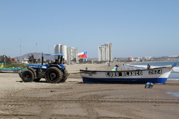 AUTORIDADES HACEN LLAMADO A ADQUIRIR PESCADOS Y MARISCOS SOLO EN COMERCIO ESTABLECIDO