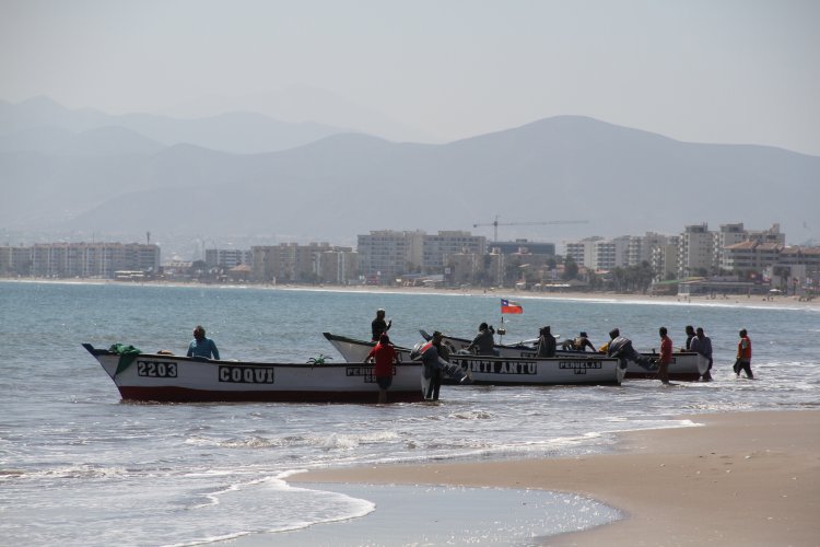 AUTORIDADES HACEN LLAMADO A ADQUIRIR PESCADOS Y MARISCOS SOLO EN COMERCIO ESTABLECIDO