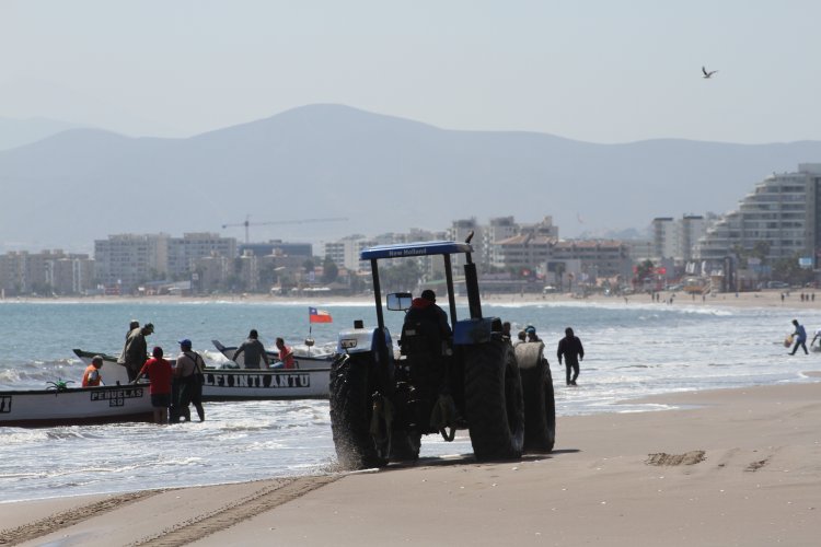 AUTORIDADES HACEN LLAMADO A ADQUIRIR PESCADOS Y MARISCOS SOLO EN COMERCIO ESTABLECIDO