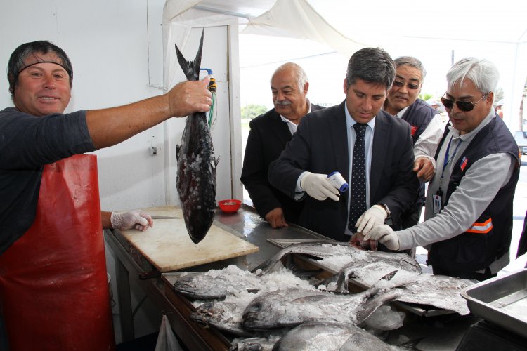 AUTORIDADES HACEN LLAMADO A ADQUIRIR PESCADOS Y MARISCOS SOLO EN COMERCIO ESTABLECIDO