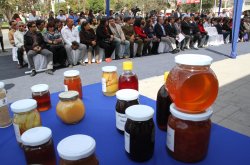 GOBIERNO REGIONAL Y FOSIS ENTREGAN $400 MILLONES A EMPRENDEDORES Y AGRUPACIONES PRODUCTIVAS DE LA ZONA