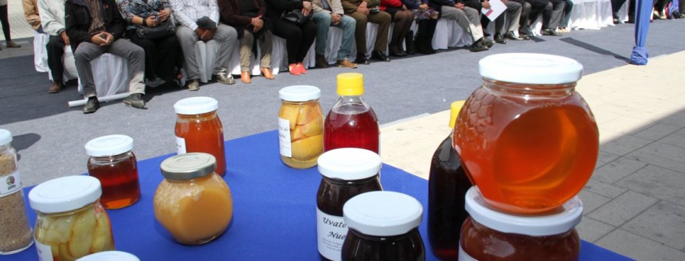 GOBIERNO REGIONAL Y FOSIS ENTREGAN $400 MILLONES A EMPRENDEDORES Y AGRUPACIONES PRODUCTIVAS DE LA ZONA