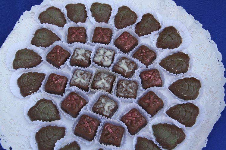 GOBIERNO REGIONAL Y FOSIS ENTREGAN $400 MILLONES A EMPRENDEDORES Y AGRUPACIONES PRODUCTIVAS DE LA ZONA