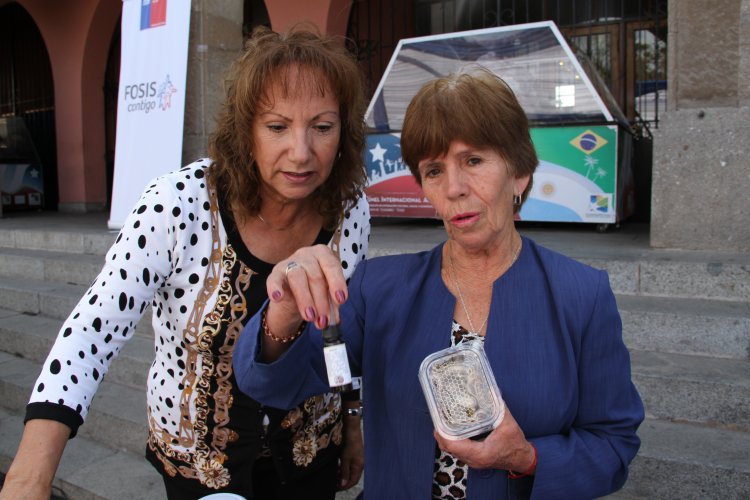 GOBIERNO REGIONAL Y FOSIS ENTREGAN $400 MILLONES A EMPRENDEDORES Y AGRUPACIONES PRODUCTIVAS DE LA ZONA