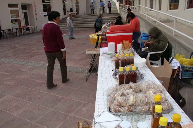 INAUGURAN CENTRO CULTURAL BICENTENARIO DE MONTE PATRIA, EL MÁS GRANDE DE LA REGIÓN