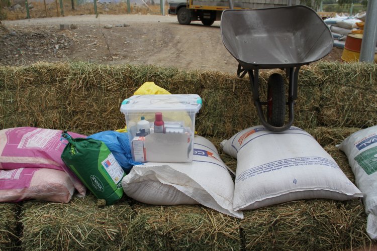 ENTREGAN IMPLEMENTOS PARA PALIAR LA SEQUÍA A 210 FAMILIAS DE ELQUI