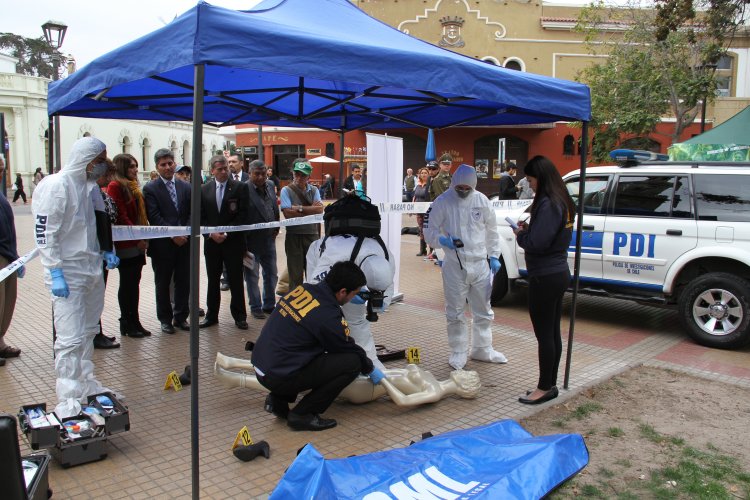 PDI Y SERNAM LANZAN CAMPAÑA CONTRA EL FEMICIDIO