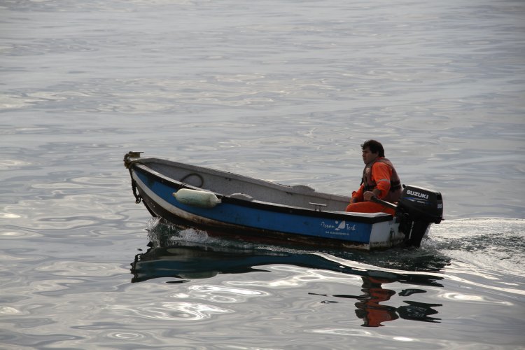 AUTORIDADES CHILENAS Y ARGENTINAS OBSERVAN RECUPERACIÓN DEL PUERTO DE COQUIMBO