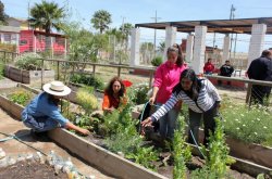 ACTIVA COLABORACIÓN DE LA COMUNIDAD FUE EL SELLO DE LA CAMPAÑA “3R QUE PUEDEN CAMBIAR EL MUNDO”