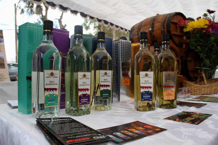 GOBIERNO DESTACA TRABAJO EN CONJUNTO CON PISQUEROS PARA FORTALECER PROYECCIÓN COMERCIAL