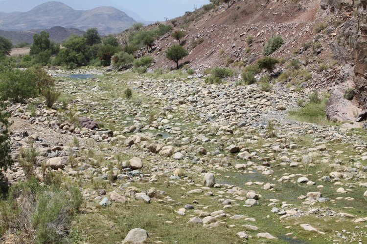 LA PRIMERA CUMBRE DEL AGUA REUNIRÁ A EXPERTOS INTERNACIONALES