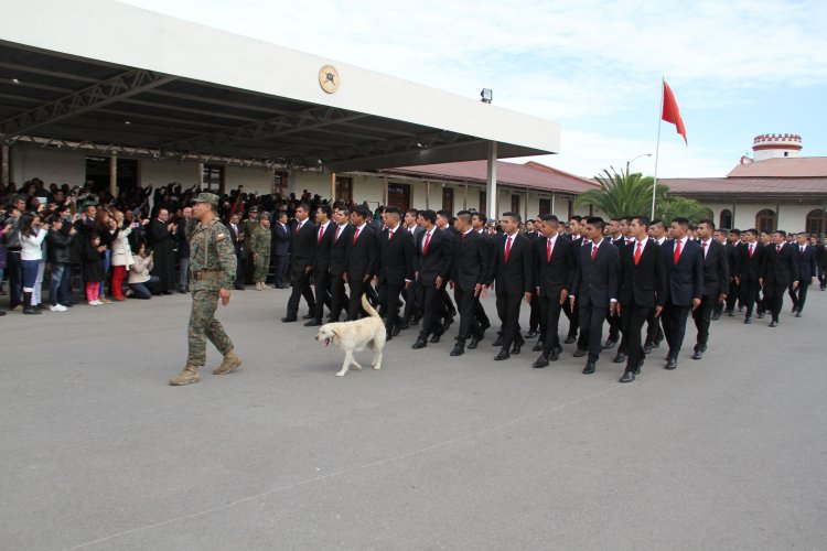 SOLDADOS CONSCRIPTOS LOGRAN CERTIFICARSE EN CONSTRUCCIÓN DE VIVIENDAS DE EMERGENCIAS