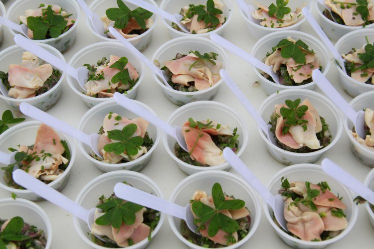 INVITAN A CONSUMIR LOS RECURSOS DEL MAR CON SEGURIDAD PORQUE NO HAY MAREA ROJA