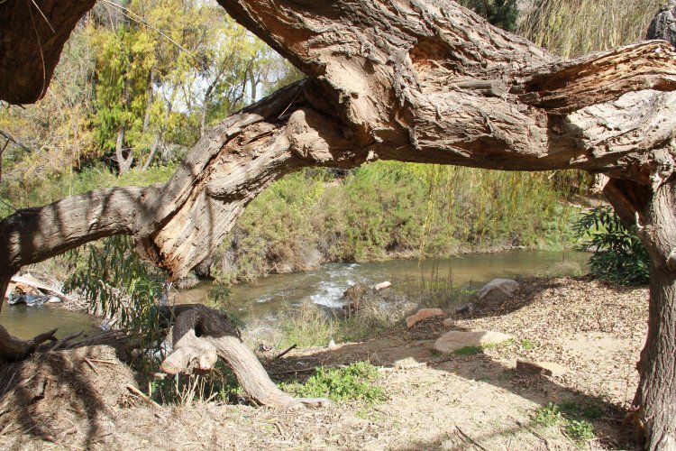 GOBIERNO PREMIA A LAS MEJORES INICIATIVAS TURÍSTICAS IMPULSADAS POR LOS MUNICIPIOS