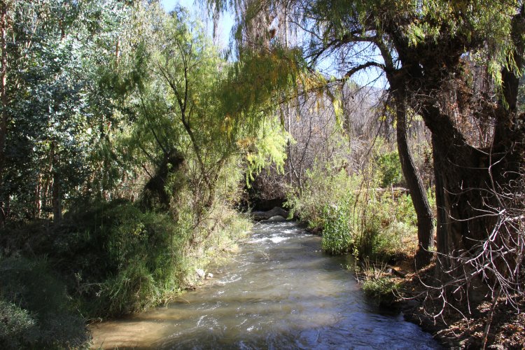 GOBIERNO PREMIA A LAS MEJORES INICIATIVAS TURÍSTICAS IMPULSADAS POR LOS MUNICIPIOS