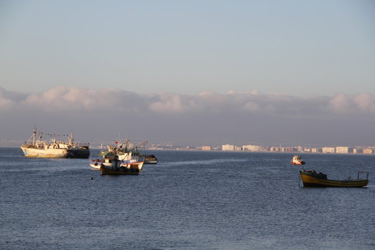 LLEGA EQUIPAMIENTO PARA DRENAJE DE RESTOS OLEOSOS DE BARCO DON HUMBERTO