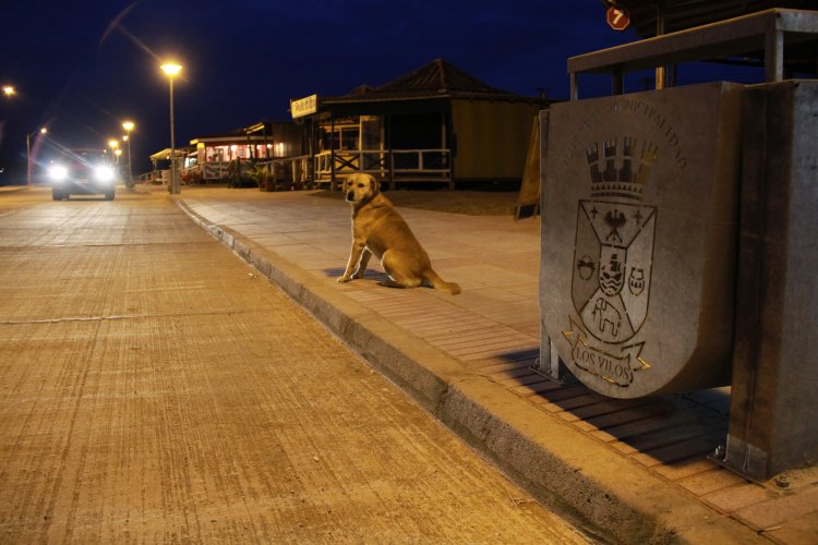 MEJORAMIENTO A COSTANERA DE LOS VILOS DA NUEVO IMPULSO AL COMERCIO LOCAL
