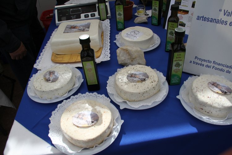 MÁS DE 800 CAMPESINOS Y CAMPESINAS CELEBRARON SU DÍA EN MONTE PATRIA