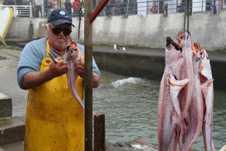 GOBIERNO IMPULSA PLAN PARA DIVERSIFICAR LA PRODUCTIVIDAD DE LAS CALETAS PESQUERAS