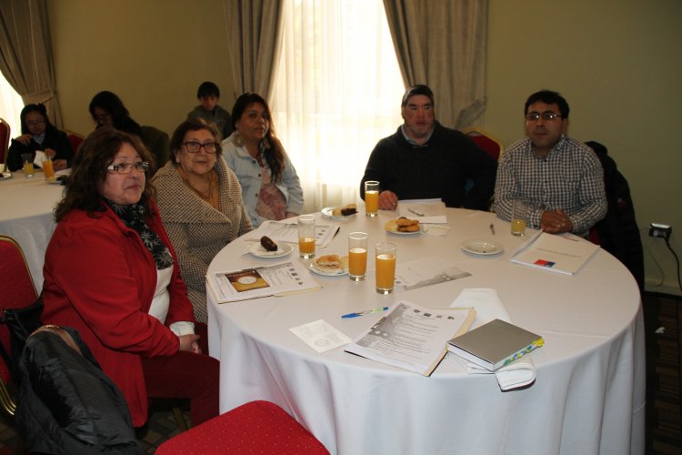 DIRIGENTES INDÍGENAS Y AUTORIDADES LOCALES LLAMARON A PUEBLOS ORIGINARIOS A PARTICIPAR EN CABILDO REGIONAL
