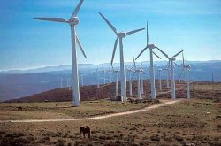 TRABAJAN PARA QUE PROYECTOS ENERGÉTICOS APORTEN AL DESARROLLO LOCAL Y COMUNIDADES