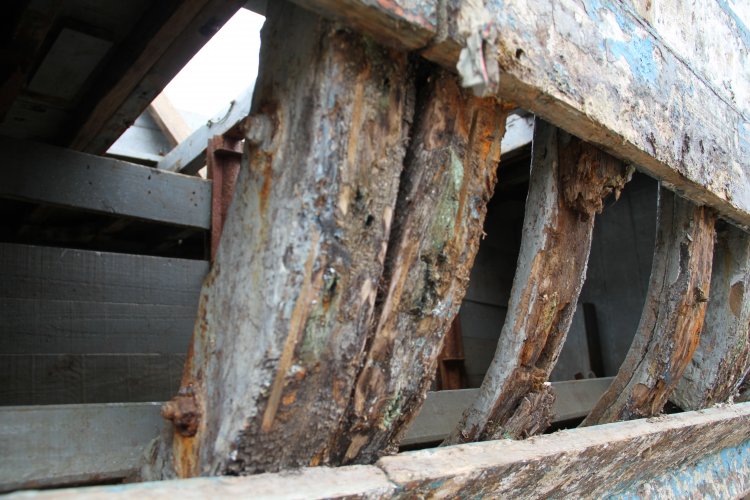 PESCADORES DE COQUIMBO CONCUERDAN EN AVANCES Y APOYO DEL GOBIERNO A CASI UN AÑO DEL TSUNAMI