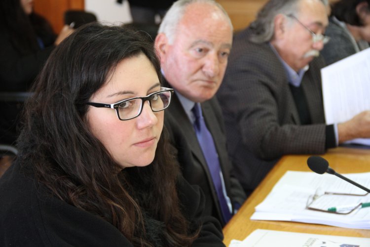 GOBIERNO REGIONAL APRUEBA MÁS DE $2800 MILLONES PARA OBRAS EN CALETAS, ELECTRIFICACIÓN Y VIALIDAD