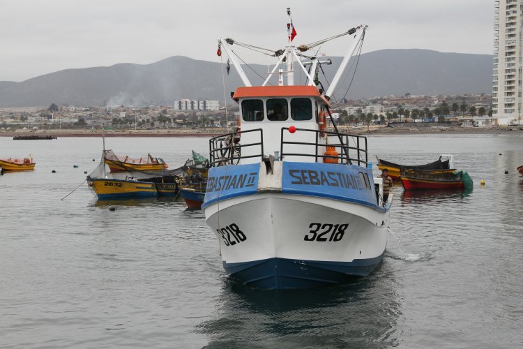 GOBIERNO REGIONAL FINANCIA OBRAS DE RECUPERACIÓN EN CALETA DE COQUIMBO DAÑADA POR EL TSUNAMI