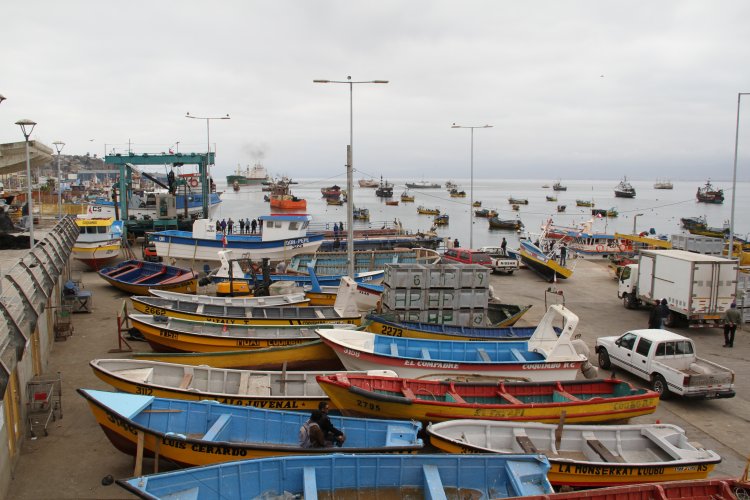 GOBIERNO REGIONAL FINANCIA OBRAS DE RECUPERACIÓN EN CALETA DE COQUIMBO DAÑADA POR EL TSUNAMI
