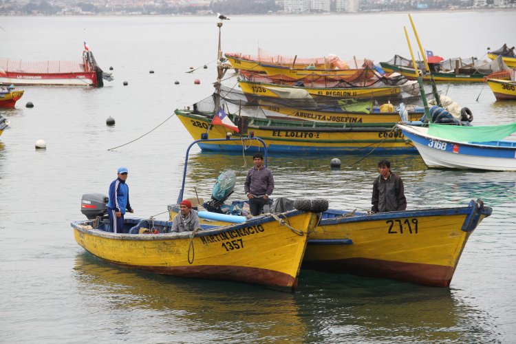 GOBIERNO REGIONAL FINANCIA OBRAS DE RECUPERACIÓN EN CALETA DE COQUIMBO DAÑADA POR EL TSUNAMI